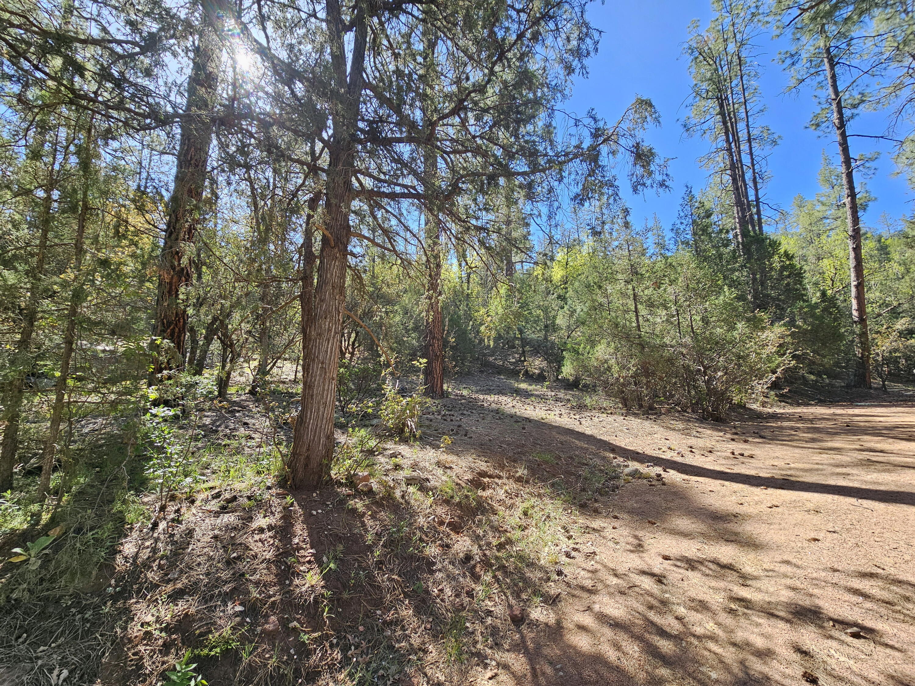 3054 Neal Drive, Payson, AZ 85541 — Photo 1 of 9