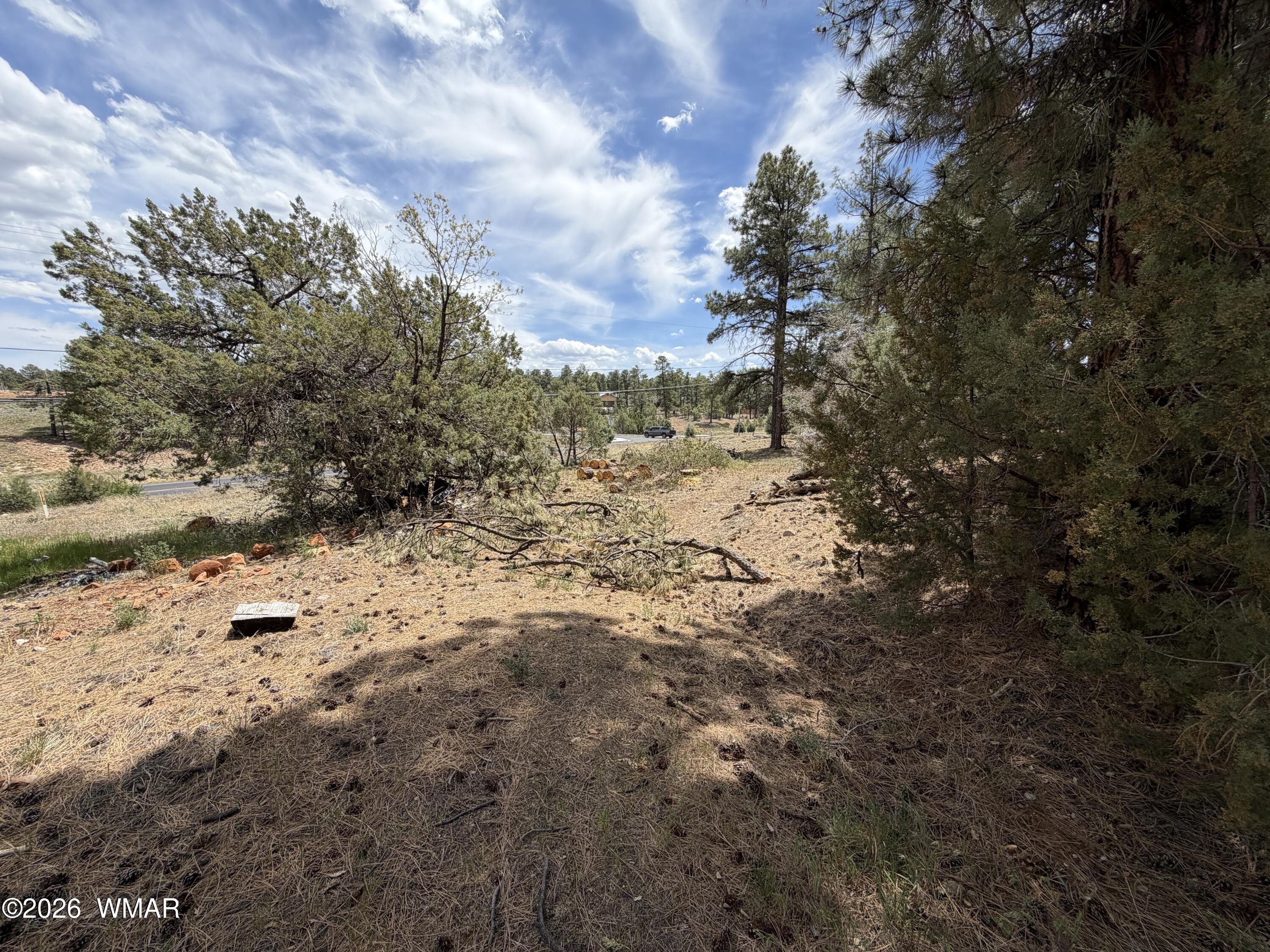 11 W Oliver, Show Low, AZ 85901 — Photo 1 of 7