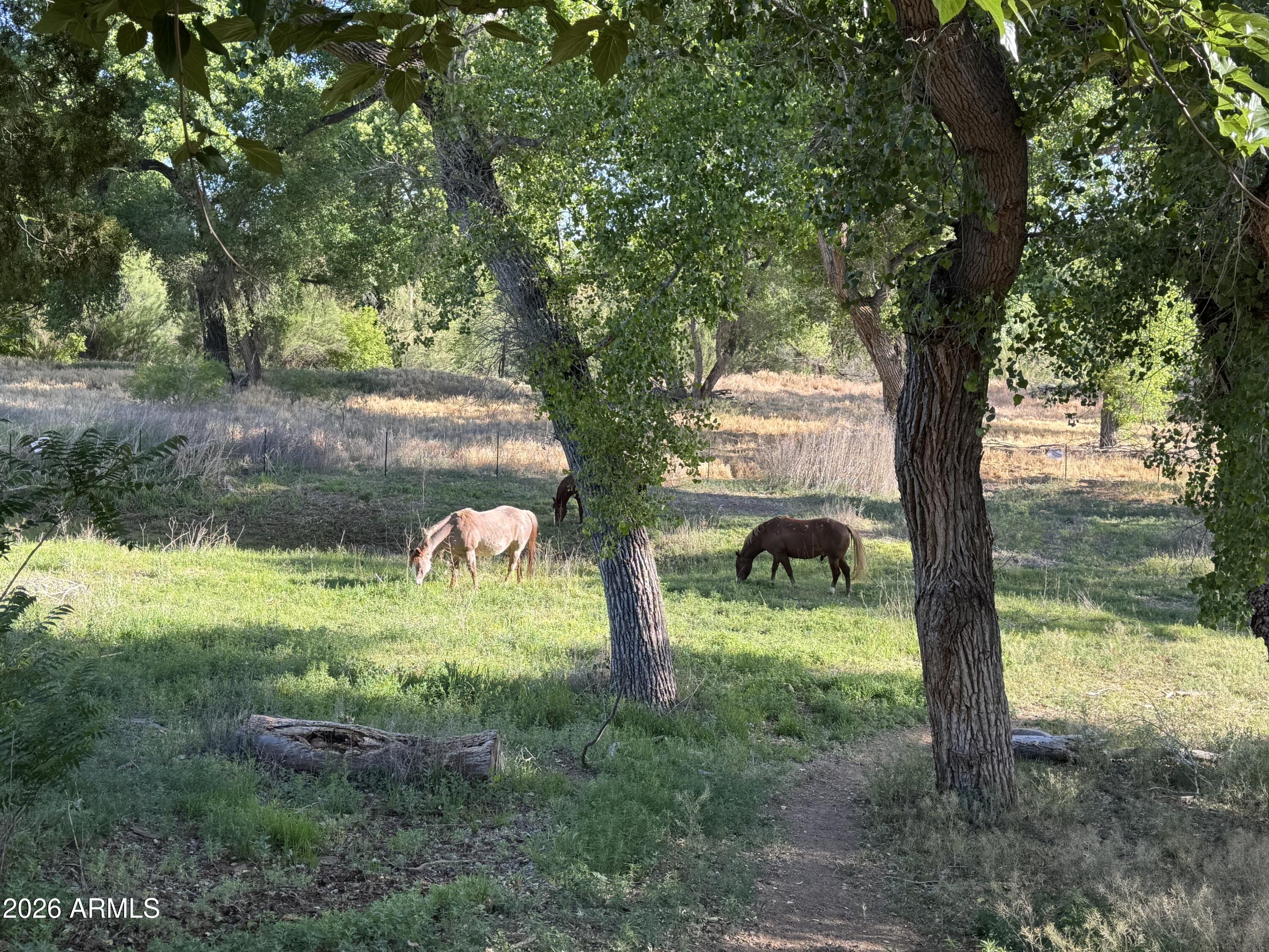 1226 W PETERSON Road, Camp Verde, AZ 86322