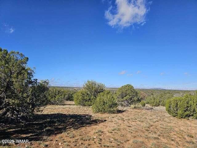 1725 McAllister Avenue, Heber, AZ 85928 — Photo 1 of 4
