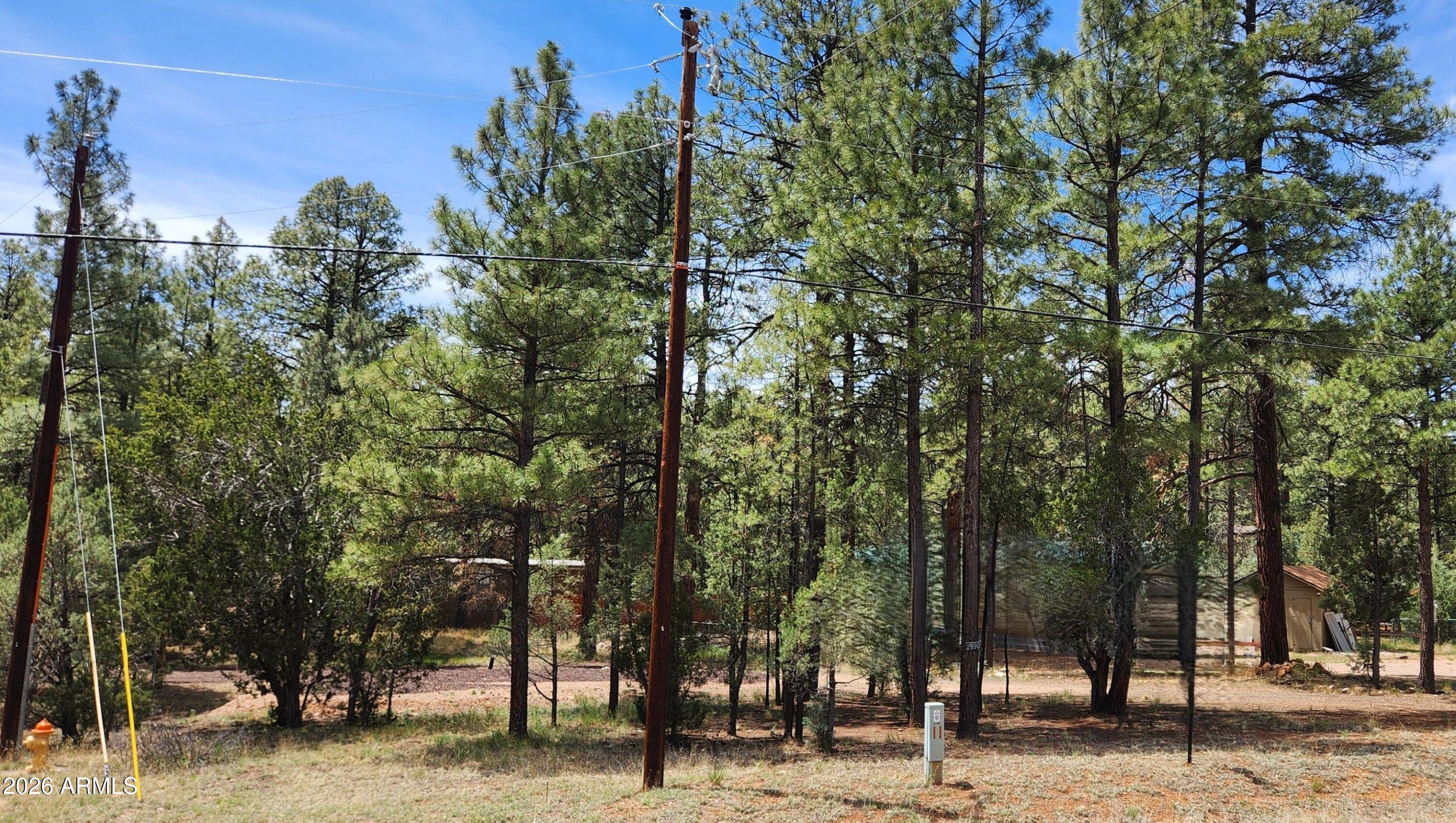 2890 PINE RIM Road -, Overgaard, AZ 85933 — Photo 1 of 5