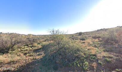 19729 E SAGE BRUSH Drive 2190, Mayer, AZ 86333
