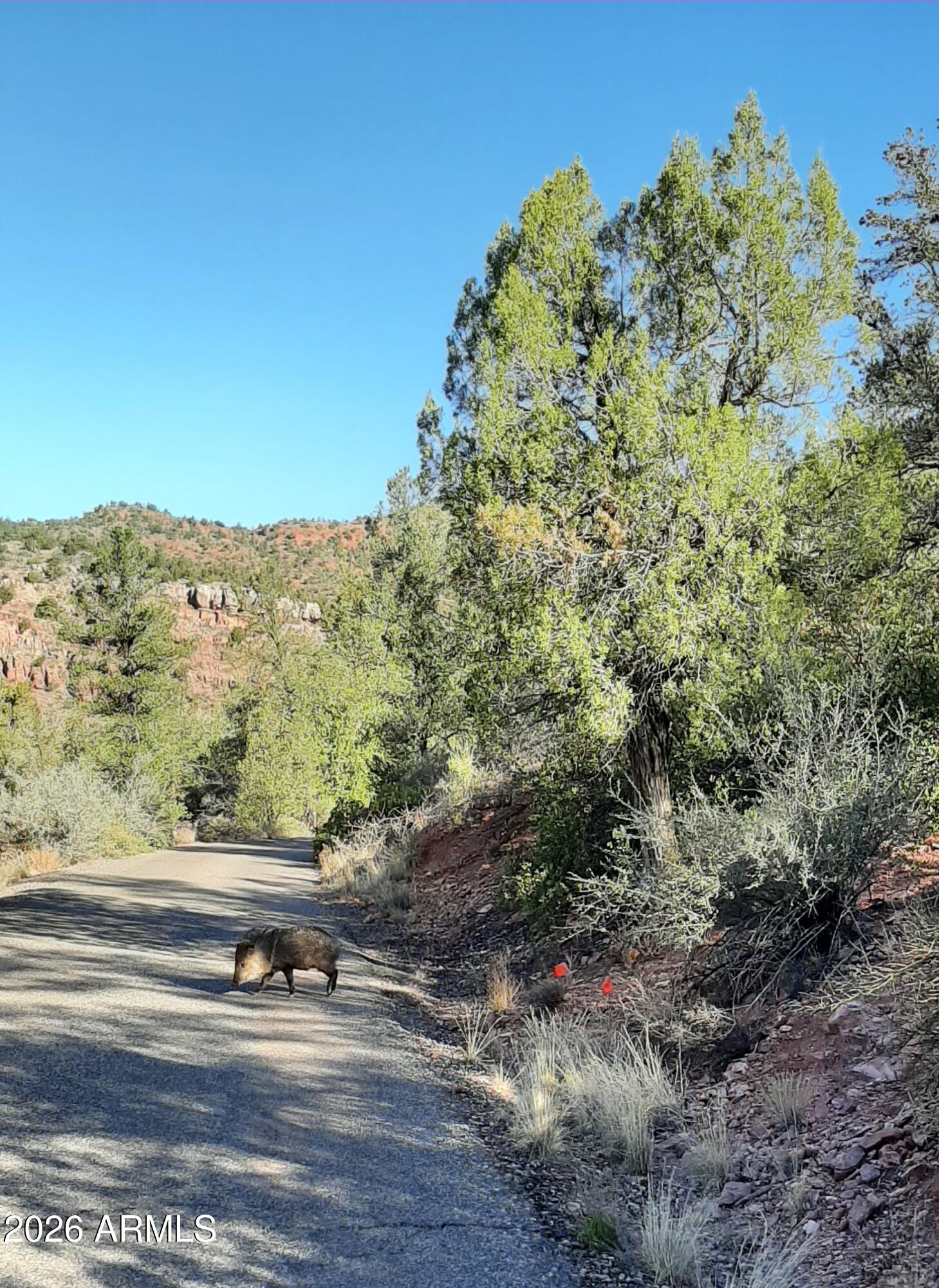 60 CASA LA COURTA Road A, Sedona, AZ 86336 — Photo 1 of 5