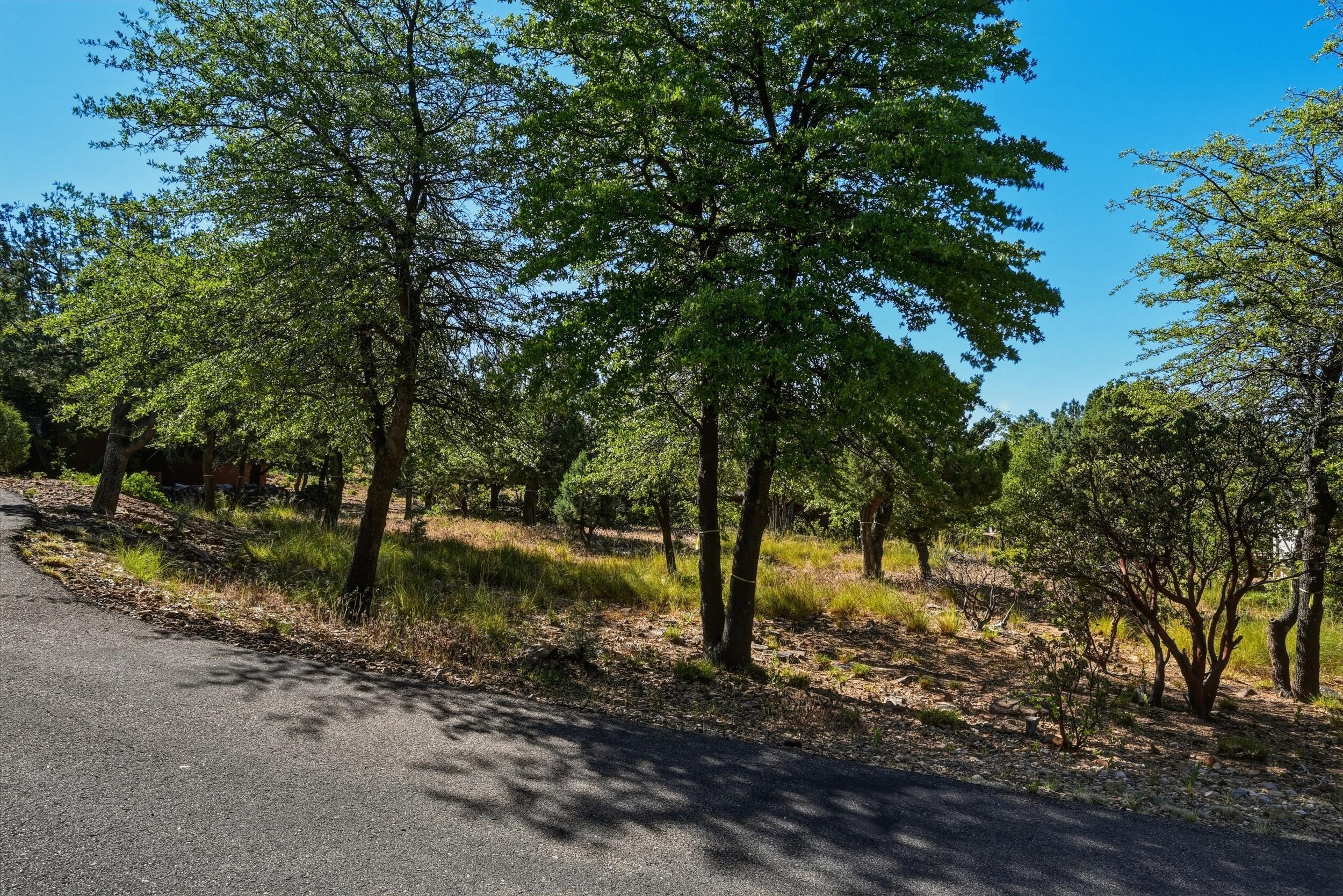 6695 Buffalo Run, Pine, AZ 85544