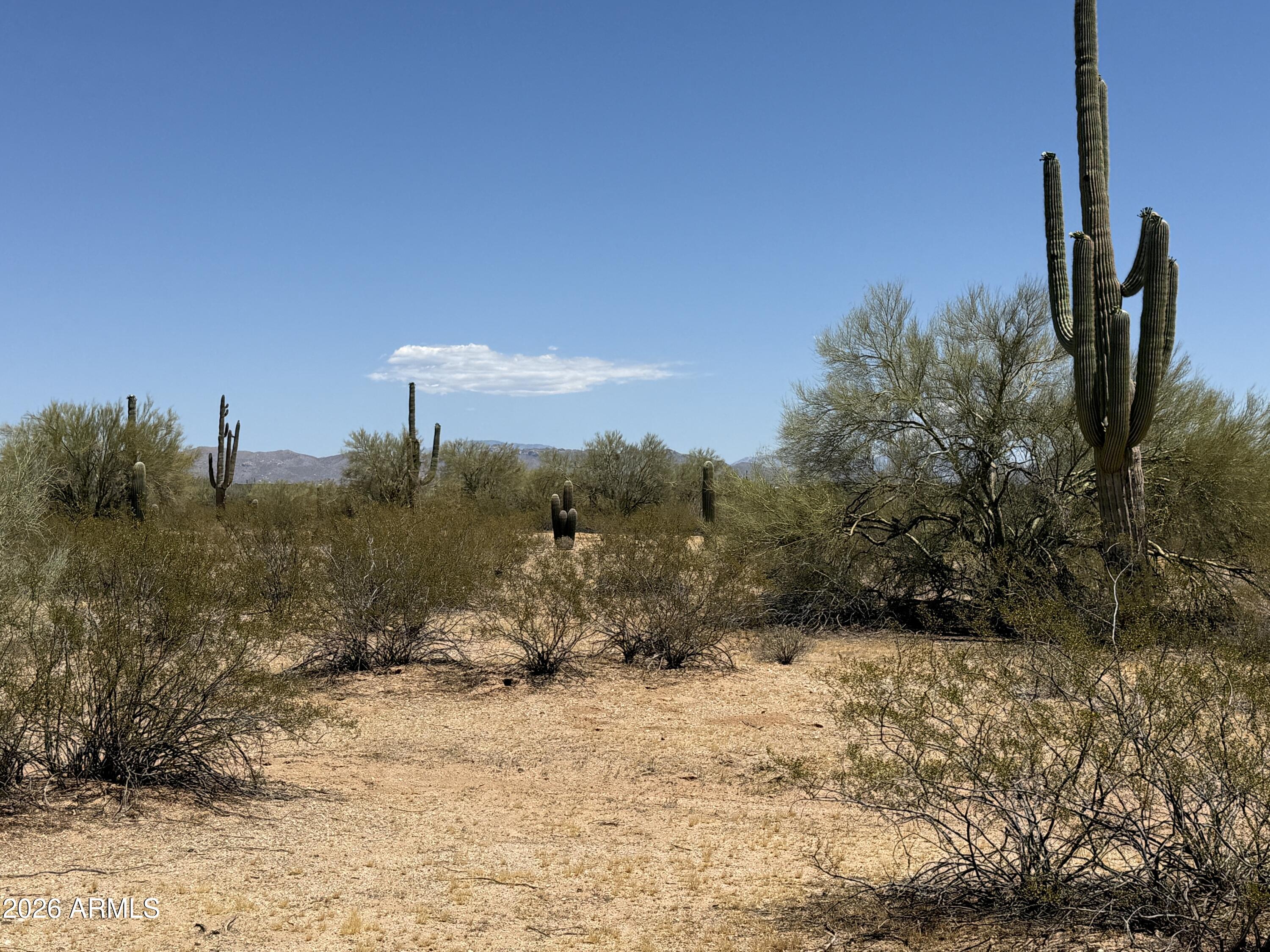 Lot 4 S Cactus Garden Way 4, Marana, AZ 85653