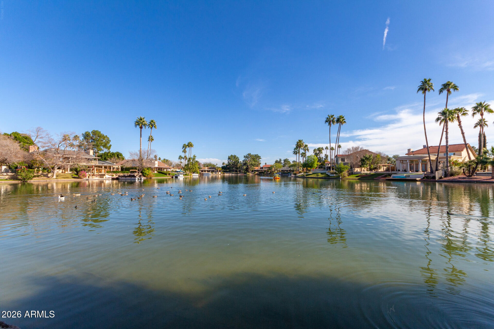 Thumbnail 43