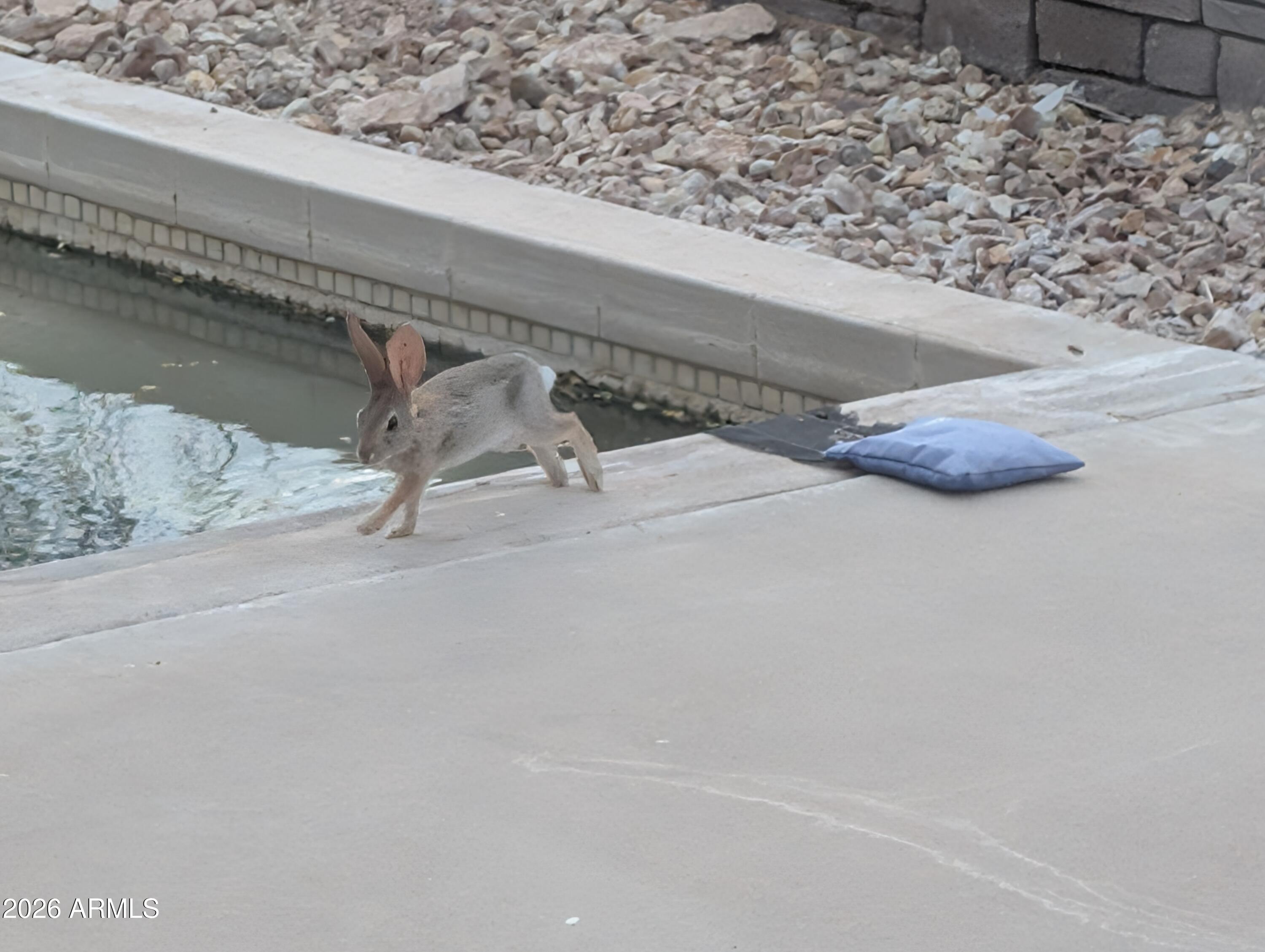 Thumbnail 52
