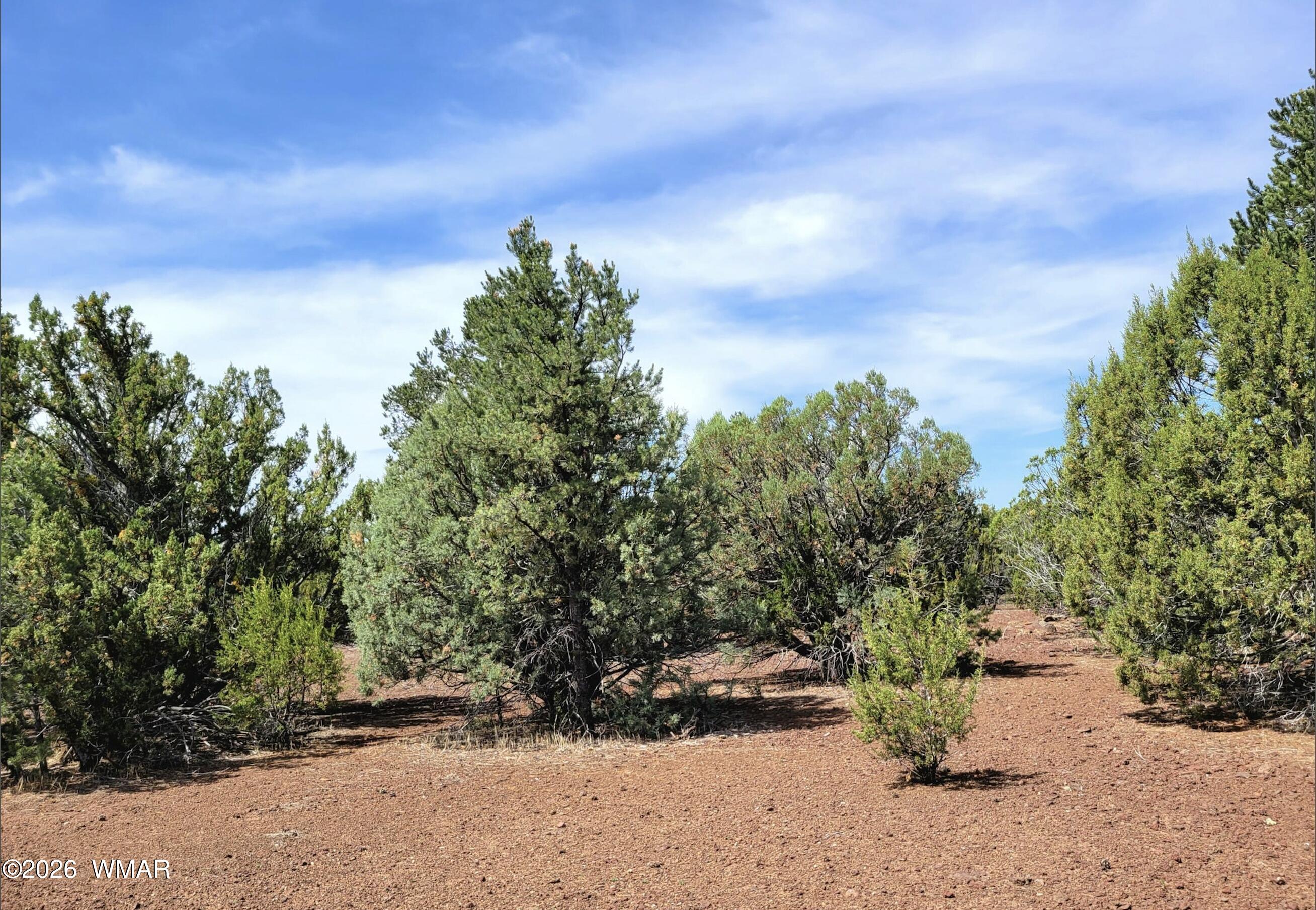 133 N3314, Vernon, AZ 85940 — Photo 1 of 31