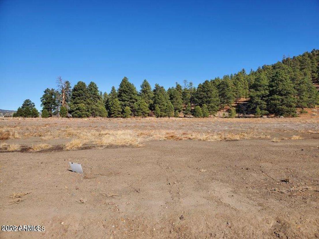 10506 FW MCLURE Road 38, Flagstaff, AZ 86004 — Photo 1 of 8