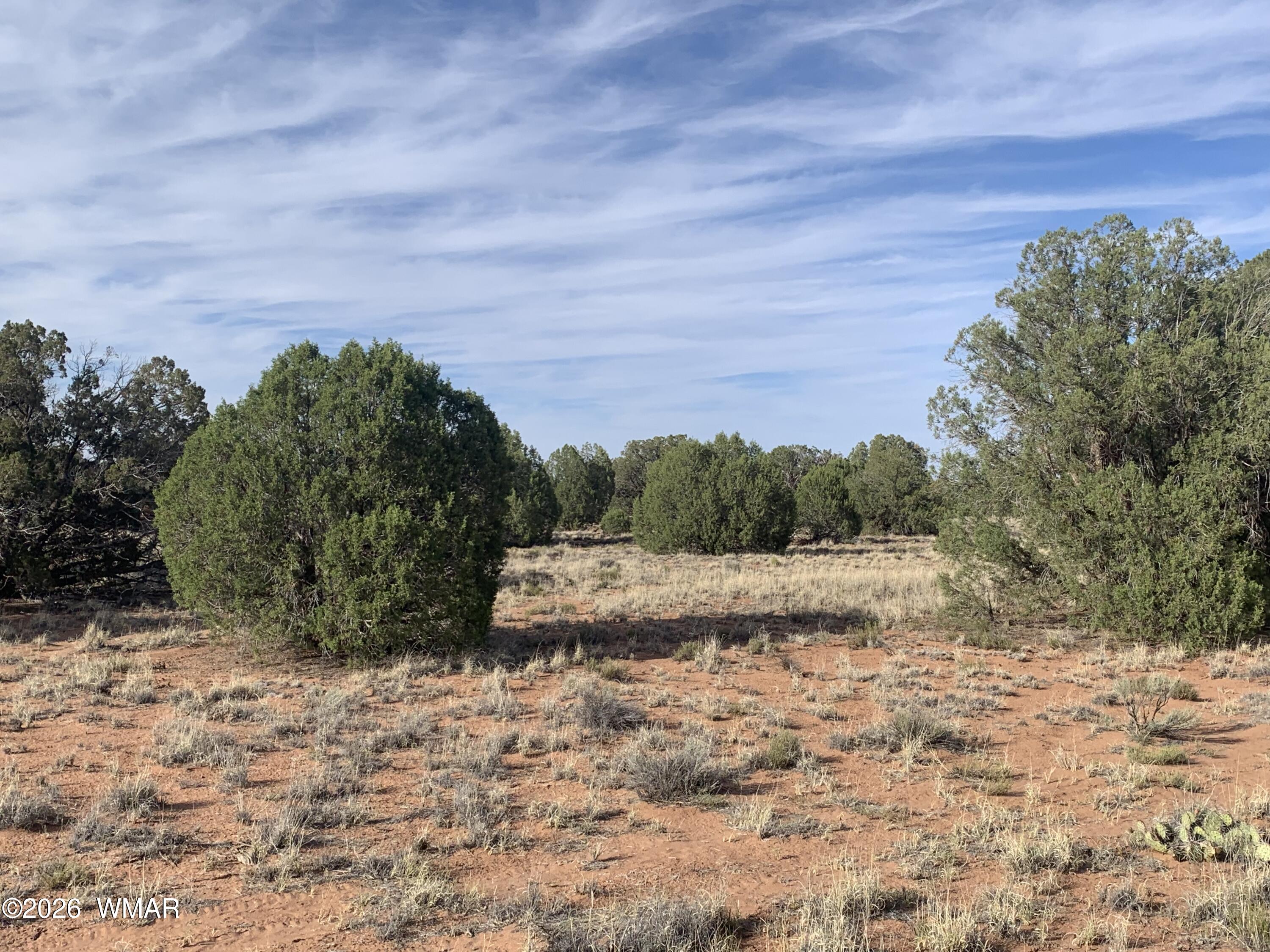 110 Mesa Redondo Ranch Road, Concho, AZ 85924 — Photo 1 of 1